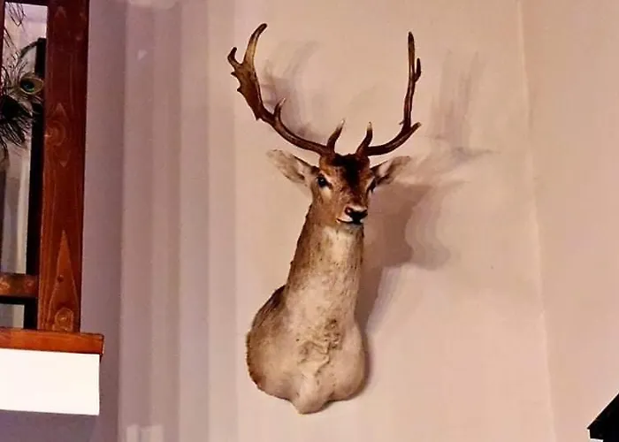 Луксозна вила пауновата къща